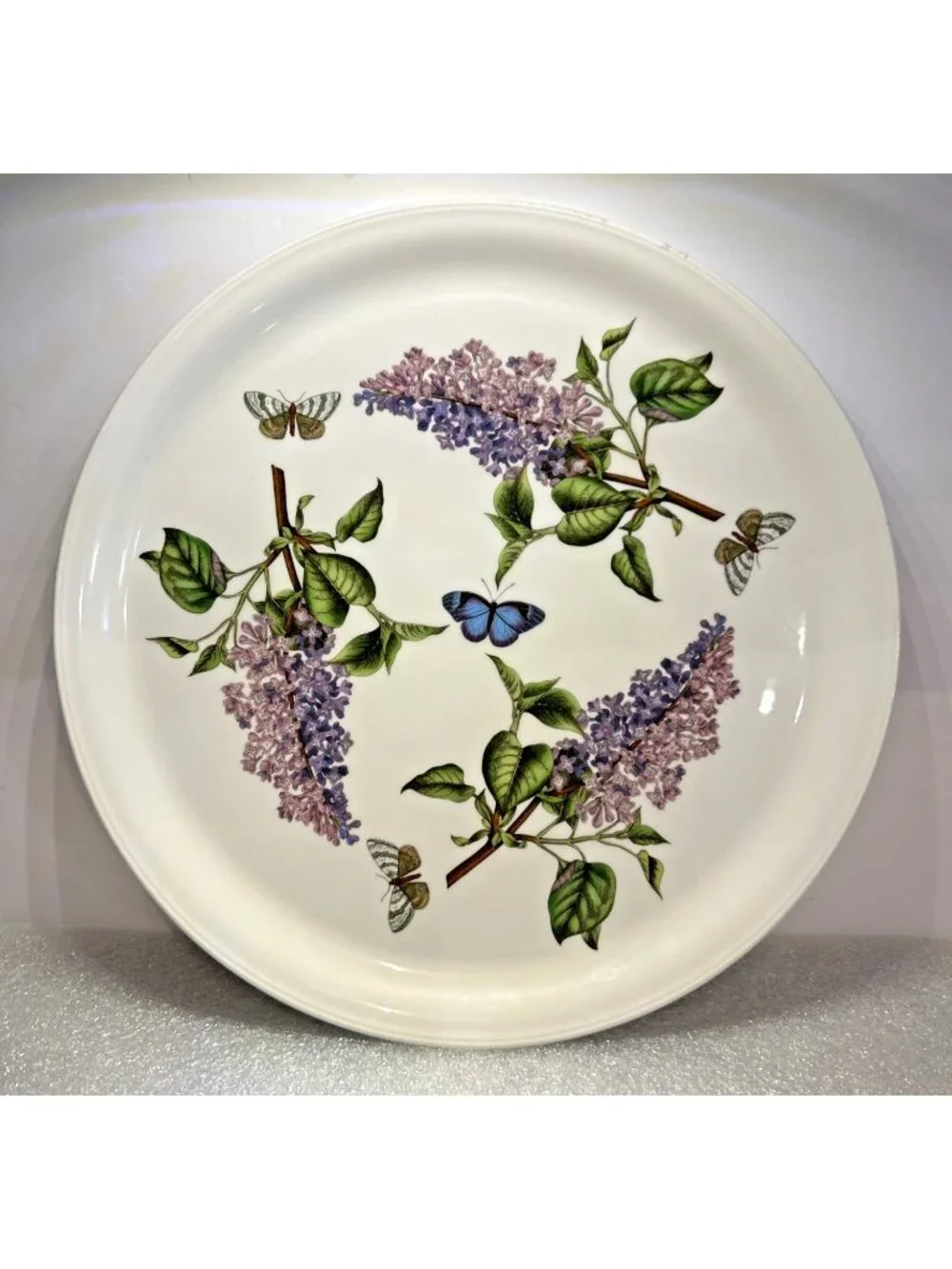 Portmeirion Fire & Ice Botanic Garden Serving Plate Platter 12